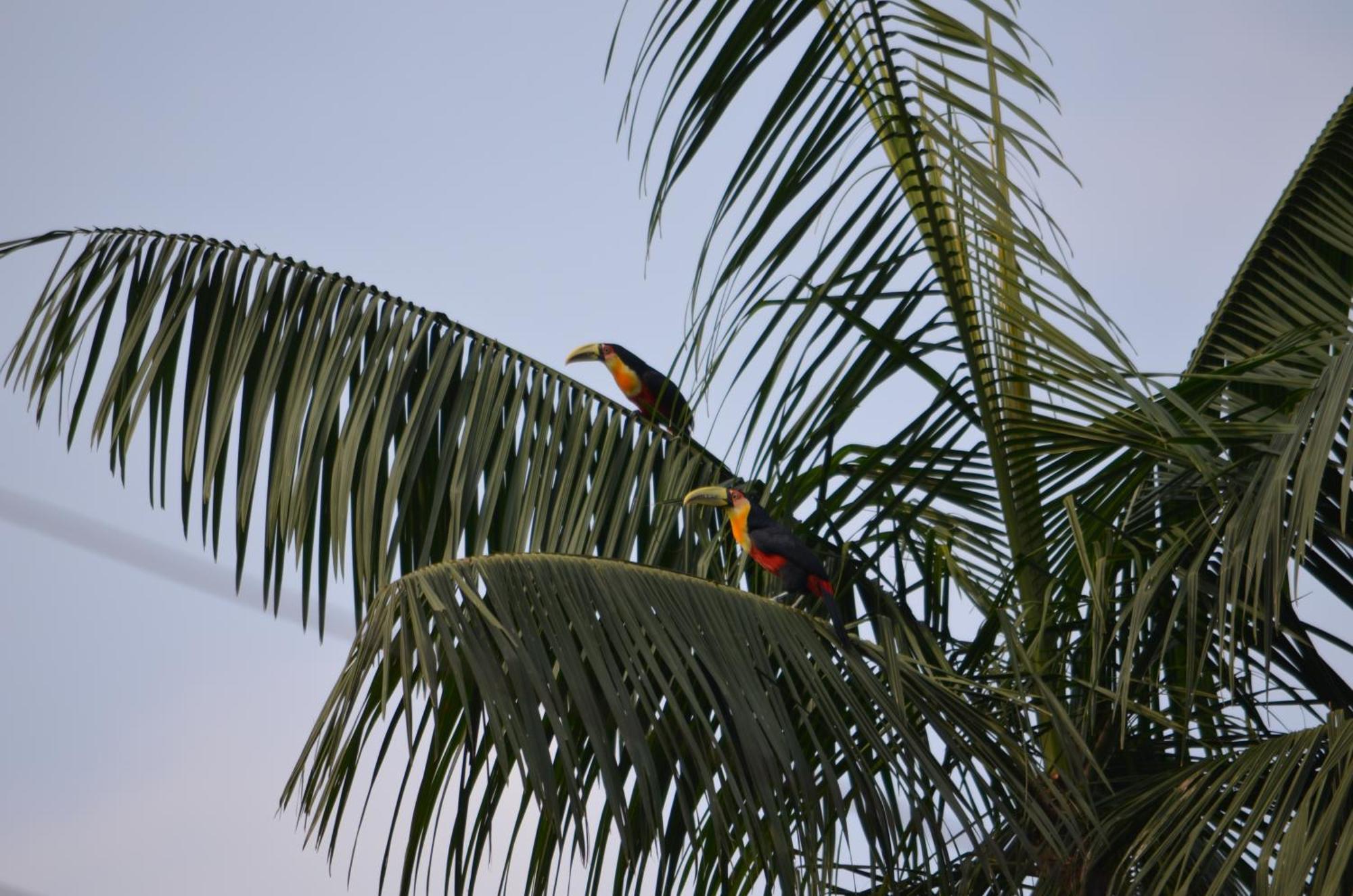 Pousada Alto Pirapitinga Villa Resende Buitenkant foto