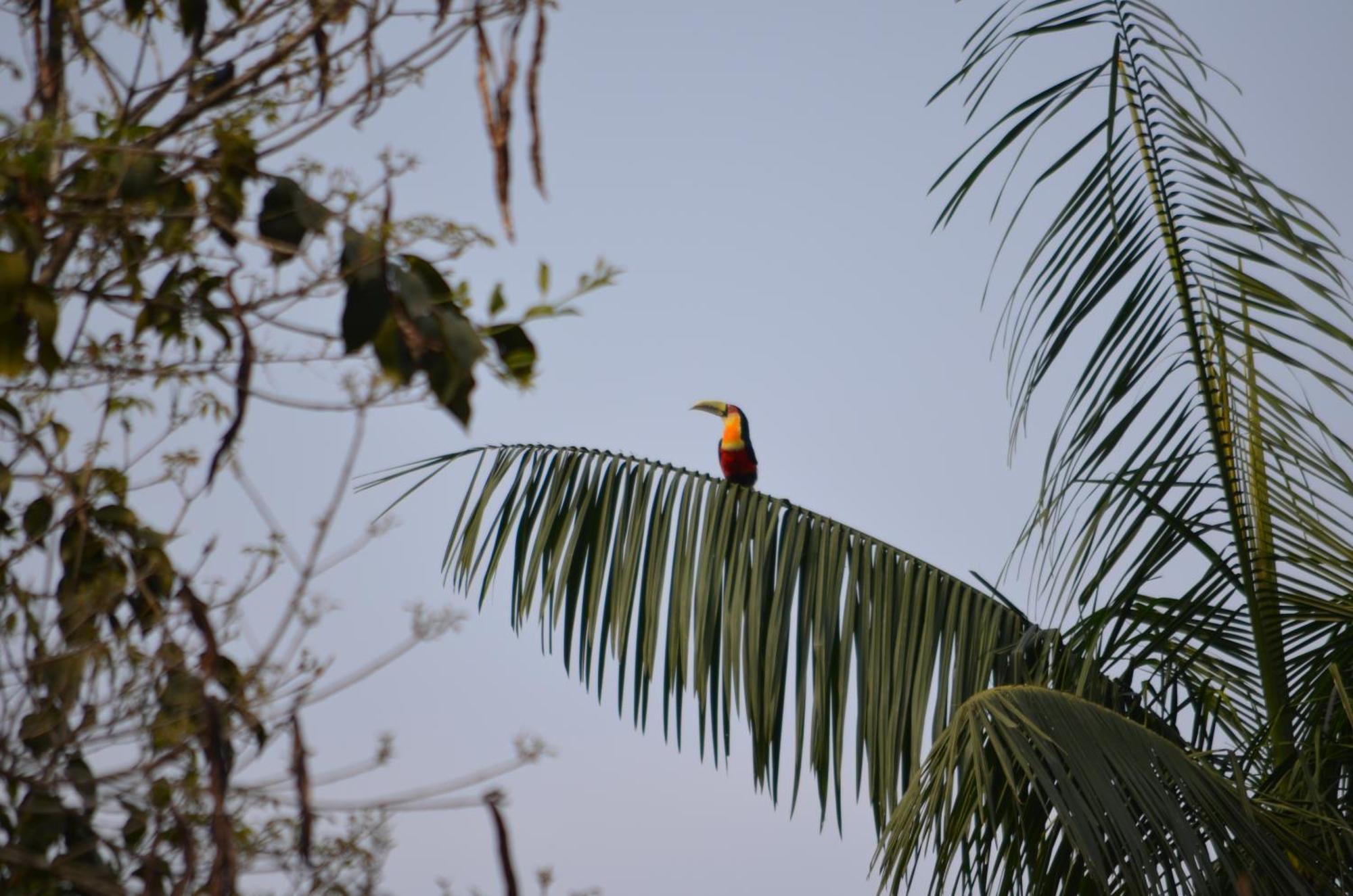 Pousada Alto Pirapitinga Villa Resende Buitenkant foto